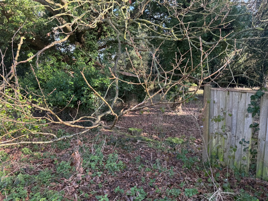 Lot: 112 - OVER HALF AN ACRE OF FREEHOLD PARCEL OF LAND - Shot showing access point to land